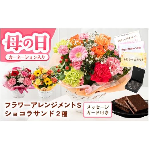 ふるさと納税 雑貨・日用品 花 福井県 坂井市 母の日限定 カーネーション入り フラワーアレンジメントS & ショコラサンド ギフトセット 選べるカラー カラー…
