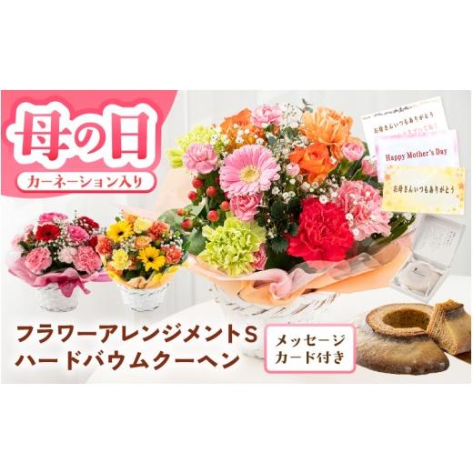 ふるさと納税 雑貨・日用品 花 福井県 坂井市 母の日限定 カーネーション入り フラワーアレンジメントS & バウムクーヘン (バウムッシュ) ギフトセット カラ…