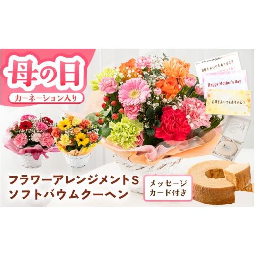 ふるさと納税 雑貨・日用品 花 福井県 坂井市 母の日限定 カーネーション入り フラワーアレンジメントS & バウムクーヘン (バウマダム) ギフトセット 選べる…