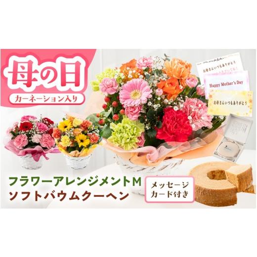 ふるさと納税 雑貨・日用品 花 福井県 坂井市 母の日限定 カーネーション入り フラワーアレンジメントM & バウムクーヘン (バウマダム) ギフトセット 選べる…