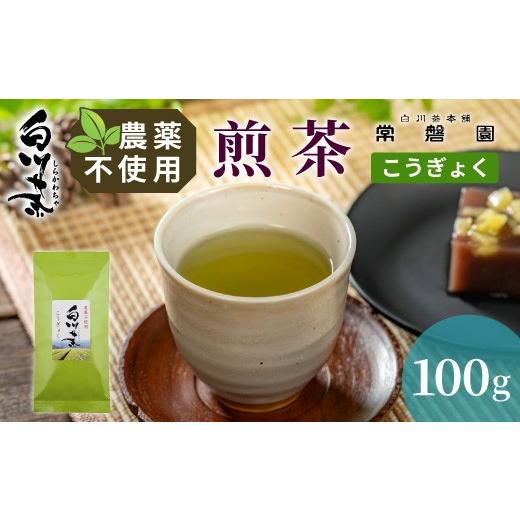 ふるさと納税 お茶類 緑茶(茶葉・ティーバッグ) 岐阜県 東白川村 農薬不使用 煎茶 こうぎょく 100g 常磐園 白川茶 美濃白川茶 日本茶 緑茶 煎茶 茶葉 お茶 …