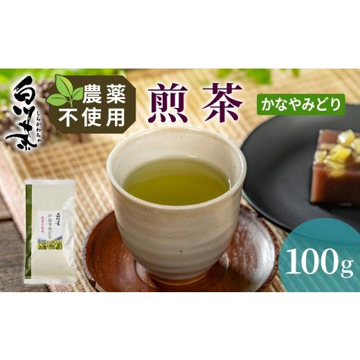 ふるさと納税 お茶類 緑茶(茶葉・ティーバッグ) 岐阜県 東白川村 農薬不使用 煎茶 かなやみどり 100g 常磐園 白川茶 美濃白川茶 日本茶 緑茶 煎茶 茶葉 お茶…