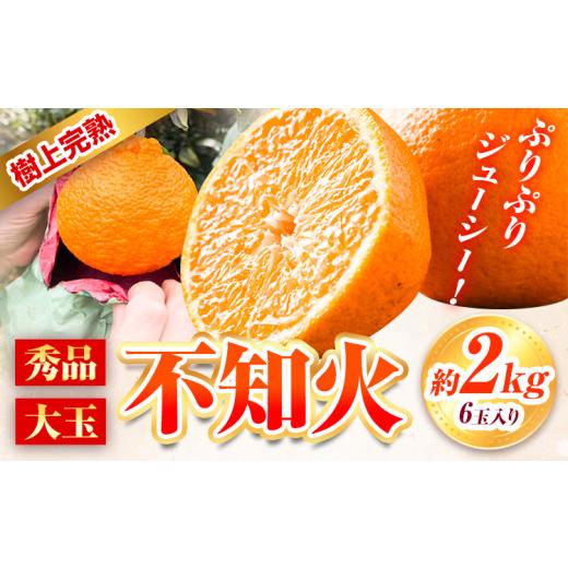 ふるさと納税 果物類 みかん 和歌山県 日高町 先行予約 秀品 大玉 不知火 約 2kg 6玉 道の駅 くしがきの里[2027年2月末-3月末頃出荷] 和歌山県 日高町 果物…