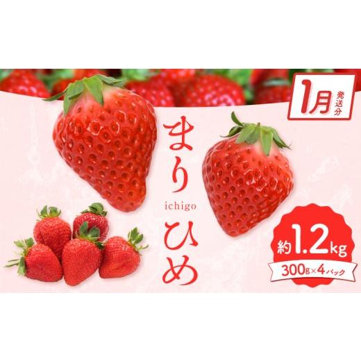ふるさと納税 いちご 和歌山県 日高町 先行予約 2027年1月発送 和歌山県産ブランドいちご「まりひめ」約300g×4パック 計1.2kg 日高町厳選館[2027年1月中旬-…