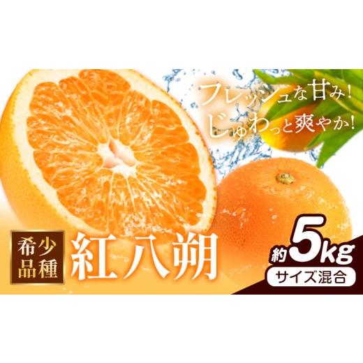 ふるさと納税 果物類 みかん 和歌山県 日高町 みかん はっさく 紅八朔 和歌山県産 希少品種 約5kg サイズ混合 日高町厳選館[2027年1月下旬-2月中旬頃出荷]和…