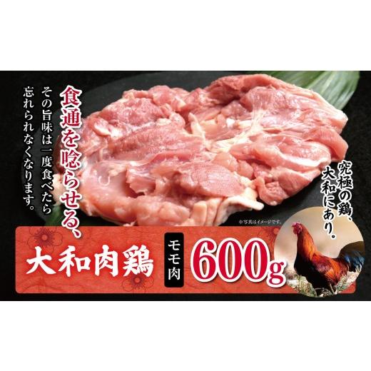 ふるさと納税 鶏肉 モモ 奈良県 大淀町 AM1 大和肉鶏 モモ肉 600g | 大和かしわ 鶏 肉 にく もも かしわ 鶏肉 とり 奈良県 大淀町 もも肉 600g | 寄附額:100…