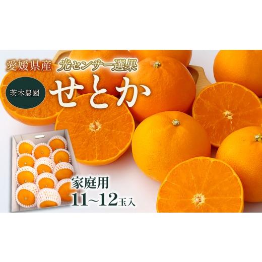 ふるさと納税 みかん・柑橘類 愛媛県 西条市 家庭用 せとか 茨木農園 家庭用せとか (11〜12個入) 光センサー選果 | せとか 家庭用 セトカ みかん ミカン …
