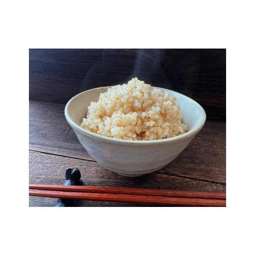 ふるさと納税 玄米 岩手県 陸前高田市  2ヶ月定期便 令和7年産 玄米 10kg×2ヶ月お届け 品種：銀河のしずく 米 お米 ライス 岩手県 オリジナル ブランド米 お…の画像