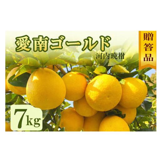 ふるさと納税 みかん・柑橘類 愛媛県 愛南町 贈答用 愛南ゴールド(河内晩柑) 7kg 10000円 柑橘 みかん mikan 蜜柑 ミカン 愛南ゴールド 国産 特産品 ギフト …