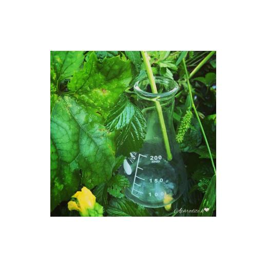 ふるさと納税 美容 化粧水 高知県 南国市  6回定期便 オーガニック 化粧水 120ml×2本 | 定期便 化粧品 オーガニック コスメ グアバ 柚子 ゆず 有機JAS認証 自…の画像
