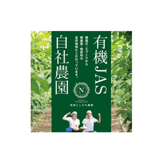 ふるさと納税 美容 化粧水 高知県 南国市  6回定期便 オーガニック 化粧水 120ml×2本 | 定期便 化粧品 オーガニック コスメ グアバ 柚子 ゆず 有機JAS認証 自…の画像