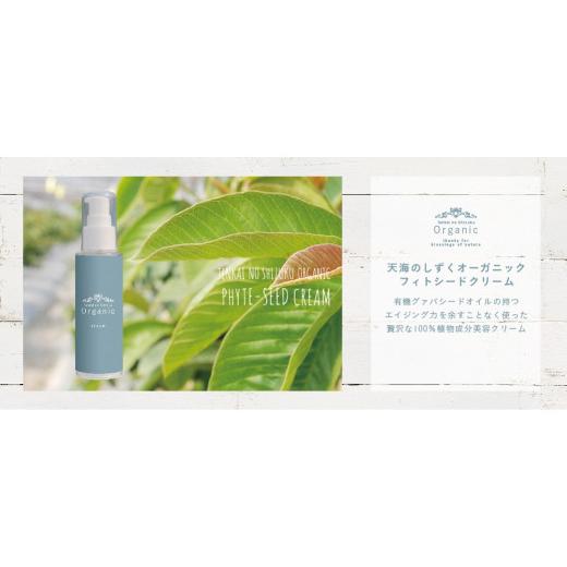 ふるさと納税 化粧水・乳液 美容液・クリーム 高知県 南国市 3回定期便 オーガニック フィトシードクリーム 35g×1本 | 定期便 化粧品 クリーム オーガニック…