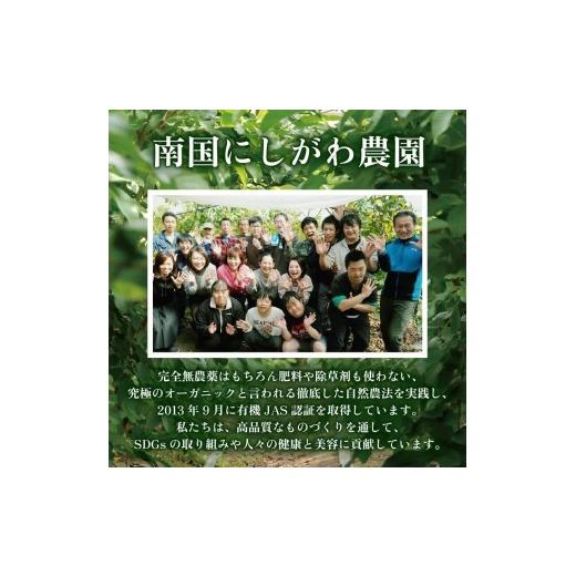 ふるさと納税 美容 化粧水 高知県 南国市  6回定期便 オーガニック フィトシードオイル 10ml×2本 | 定期便 化粧品 オイル オーガニック コスメ グアバ 自家栽…の画像