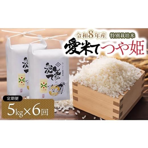 ふるさと納税 米 つや姫 山形県 鶴岡市 令和8年産先行予約 6ヶ月定期便 特別栽培米 つや姫 精米 5kg×6ヶ月 山形県鶴岡市産 愛米て | 米 こめ コメ 5キロ…