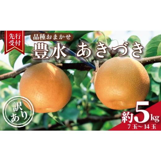 ふるさと納税 梨 千葉県 旭市 2026年先行予約 品種おまかせ 梨 約 5kg ( 7玉 ~ 14玉 ) 豊水梨 あきづき [9月上旬頃〜発送] なし ナシ 梨 ほうすい梨 秋月 …