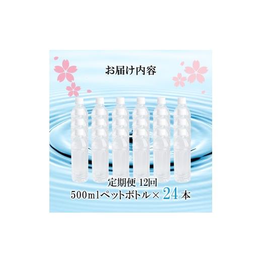 ふるさと納税 水・ミネラルウォーター 500mL〜999mL 熊本県 小国町  桜屋 12回 定期便 シリカ天然水「サクラシリカ」500ml 24本 計288本 定期便 シリカ含有量9…の画像