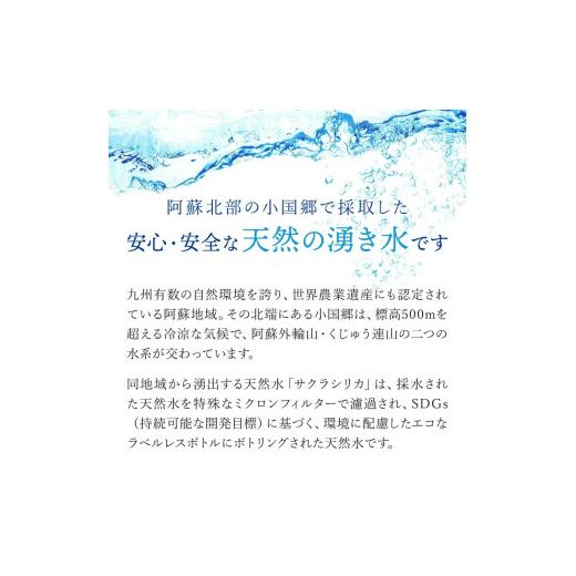 ふるさと納税 水・ミネラルウォーター 500mL〜999mL 熊本県 小国町  桜屋 12回 定期便 シリカ天然水「サクラシリカ」500ml 24本 計288本 定期便 シリカ含有量9…の画像
