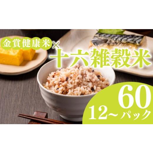 ふるさと納税 米・パン もち米 大阪府 松原市 ご飯パック 金賞 健康米 十六雑穀米 120g×48個入り国産 レンチン もち麦 軽食 夜食 簡単 白米 麦 食物繊維 ビタ…