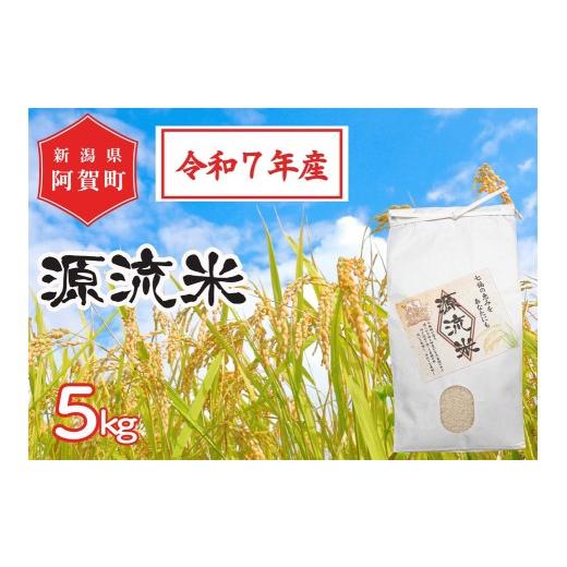 ふるさと納税 米 コシヒカリ 新潟県 阿賀町 [令和7年産米]源流米 コシヒカリ5kg(1袋) 〜七福の恵をあなたにも〜