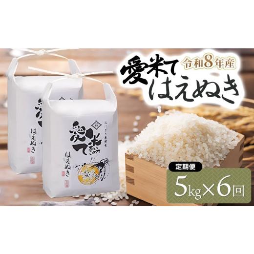ふるさと納税 米 はえぬき 山形県 鶴岡市 令和8年産先行予約 6ヶ月定期便 はえぬき 精米 5kg×6ヶ月 山形県鶴岡市産 愛米て | 米 こめ コメ 5キロ ブラン…