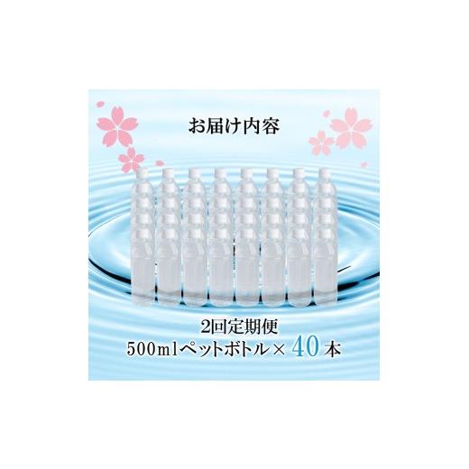 ふるさと納税 水・ミネラルウォーター 500mL〜999mL 熊本県 小国町  桜屋 2回 定期便 シリカ天然水「サクラシリカ」500ml 40本 計80本 定期便 シリカ含有量99m…の画像