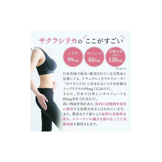 ふるさと納税 水・ミネラルウォーター 500mL〜999mL 熊本県 小国町  桜屋 2回 定期便 シリカ天然水「サクラシリカ」500ml 40本 計80本 定期便 シリカ含有量99m…の画像