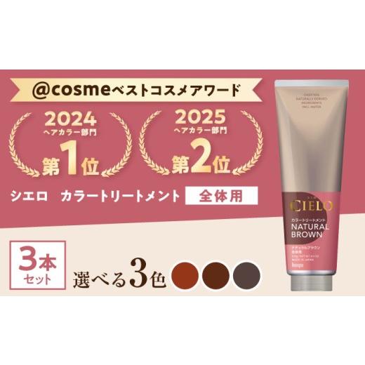 ふるさと納税 美容 愛知県 瀬戸市 ナチュラルブラウン シエロ カラートリートメント 全体用 3個 / CIELO 白髪染め セルフカラー ヘアケア / 瀬戸市 / ホー…