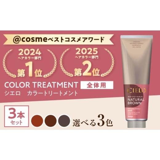ふるさと納税 美容 愛知県 瀬戸市 アッシュブラック シエロ カラートリートメント 全体用 3個 / CIELO 白髪染め セルフカラー ヘアケア / 瀬戸市 / ホーユ…