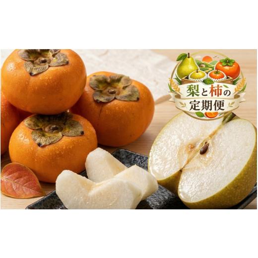 ふるさと納税 果物の詰合せ 和歌山県 かつらぎ町 全2回 かつらぎ町産 フルーツ定期便(梨・柿)フルーツ王国よりお届け / 梨 柿 フルーツ 果物 定期便 セッ…