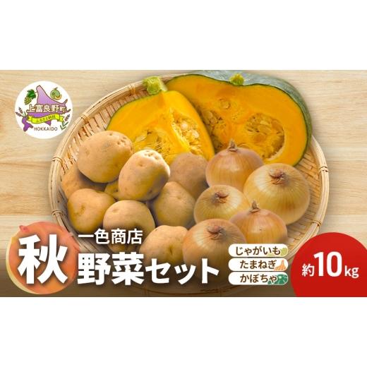 ふるさと納税 野菜類 じゃがいも 北海道 上富良野町 上富良野産 野菜セット( じゃがいも 玉ねぎ かぼちゃ )約10kg
