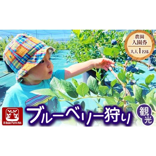 ふるさと納税 体験チケット 長野県 伊那市 ブルーベリー狩り観光農園入園券(大人1名様) 007-93 | ブルーベリー狩り ブルーベリー 体験 食べ放題 観光 入園券…
