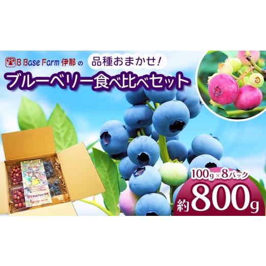 ふるさと納税 果物類 長野県 伊那市 ブルーベリー 食べ比べ 品種 お任せ 100g×8パック B Base Farm伊那 | ブルーベリー フルーツ 国産ブルーベリー 果物 完熟…