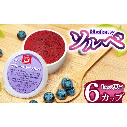 ふるさと納税 アイス・ヨーグルト シャーベット 長野県 伊那市 ブルーベリーソルベ(シャーベット) 90ml×6カップ 011-a1 | ブルーベリー アイス フルーツ …