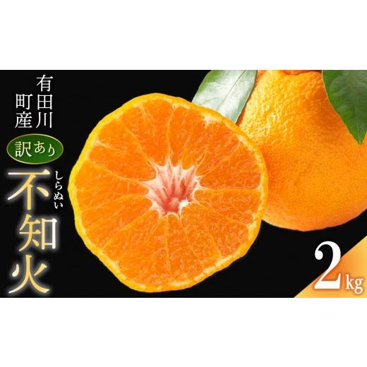 ふるさと納税 みかん・柑橘類 デコポン 和歌山県 有田川町 不知火(しらぬい) オレンジ みかん 訳あり 2kg サイズ混合