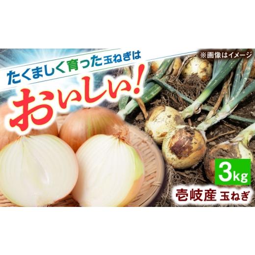 ふるさと納税 野菜類 玉ねぎ 長崎県 壱岐市 壱岐市産 玉ねぎ 3kg [壱岐市] ようさんのとまと たまねぎ タマネギ 玉ねぎ 玉葱 オニオン 国産 野菜 旬