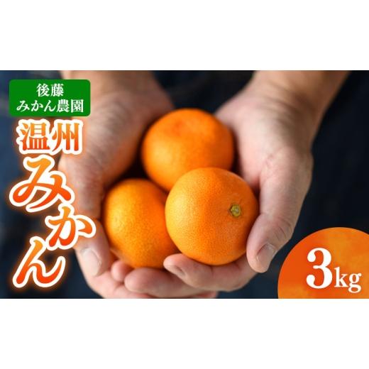 ふるさと納税 果物類 みかん 静岡県 浜松市 後藤みかん農園 温州みかん 3kg 宮川 片山 果物 くだもの 旬のフルーツ 旬の果物 季節のフルーツ 季節の果物 柑橘 …