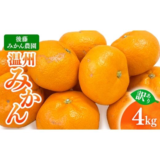 ふるさと納税 果物類 みかん 静岡県 浜松市 訳あり 後藤みかん農園 温州みかん 4kg 宮川 片山 果物 くだもの 旬のフルーツ 旬の果物 季節のフルーツ 季節の果…