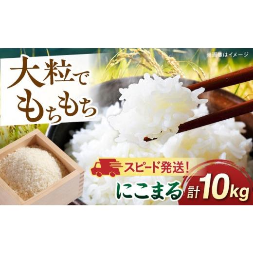 ふるさと納税 米 にこまる 福岡県 糸島市 令和7年産 スピード発送 にこまる 玄米品質1等米 白米 10kg 糸島市産 糸島市 / 糸島の恵み AGR002 お米 こめ コメ …