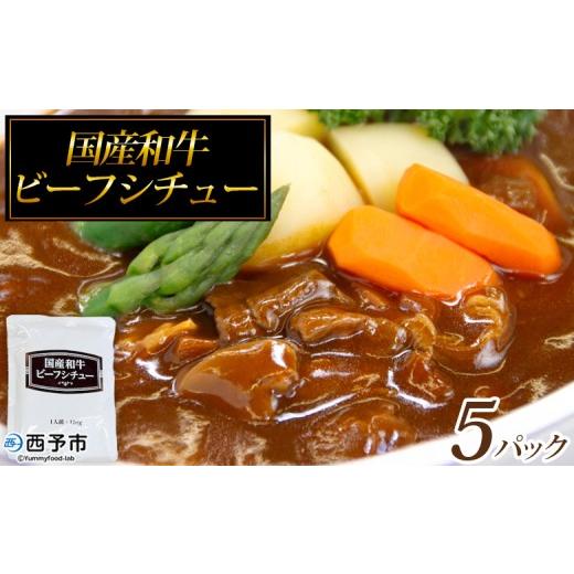 ふるさと納税 加工品等 レトルト 愛媛県 西予市 国産和牛ビーフシチュー 5パック レトルト シチュー カレー 食品 惣菜 ごはん 加工品 キャンプ 手軽 簡単調理…