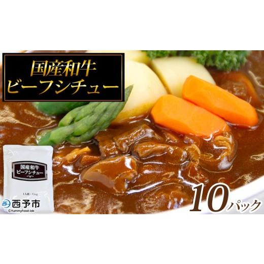 ふるさと納税 加工品等 レトルト 愛媛県 西予市 国産和牛ビーフシチュー 10パック レトルト シチュー カレー 食品 惣菜 ごはん 加工品 キャンプ 手軽 簡単調…