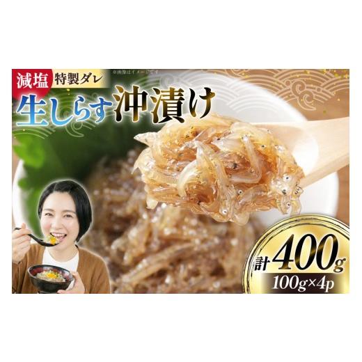 ふるさと納税 魚貝類 しらす 静岡県 吉田町 生しらす 沖漬け 計 400g 丸三水産 静岡県 吉田町 22424696 しらす シラス 小分け 冷凍 海鮮 ご飯のお供