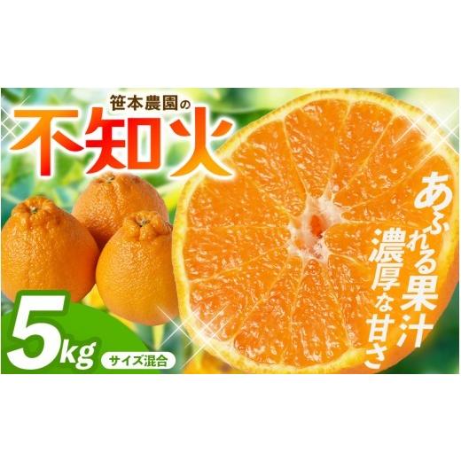 ふるさと納税 みかん・柑橘類 デコポン 三重県 熊野市 数量限定 不知火 笹本農園の不知火 約5kg サイズ混合 2027年3月上旬頃〜順次発送 不知火デコポン みか…