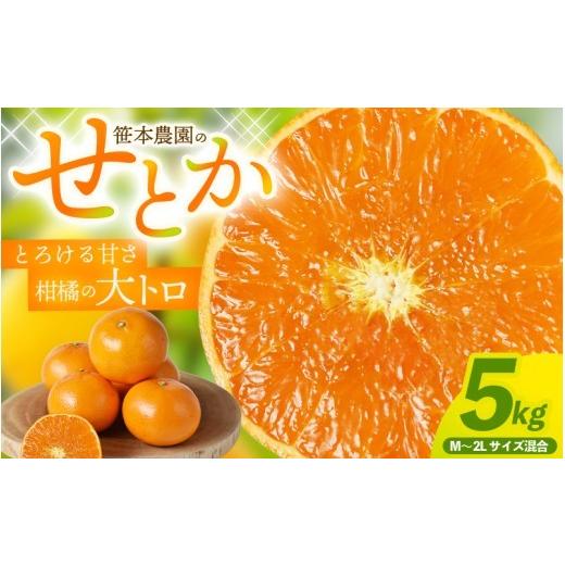ふるさと納税 みかん・柑橘類 三重県 熊野市 数量限定 せとか 笹本農園のせとか 約5kg M〜2Lサイズ混合 2027年3月上旬頃〜順次発送 みかん ミカン 蜜柑 柑橘 …