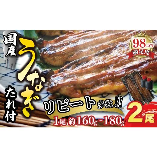 ふるさと納税 うなぎ 滋賀県 近江八幡市 うなぎ 蒲焼 2尾 セット 国産 D009W うなぎ ウナギ 鰻 蒲焼き かば焼き たれ 人気 美味しい ふるさと 冷凍 うな重 ひ…