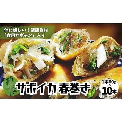 ふるさと納税 惣菜・レトルト 冷凍 愛知県 春日井市 体にうれしい健康食材「食用サボテン」のサボイカ春巻き 10本入り(1本60g×10本)