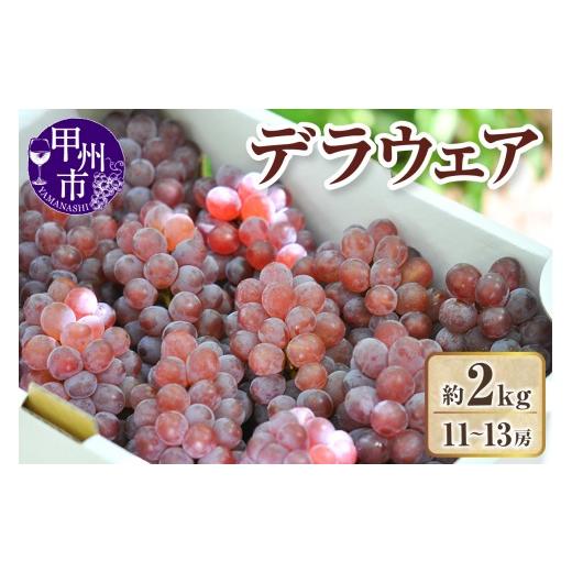 ふるさと納税 果物類 ぶどう 山梨県 甲州市 クール配送 山梨県産デラウェア 種無しぶどう11〜13房(約2kg) 2026年発送 (KFT)B13-1812 デラウエア ぶどう …