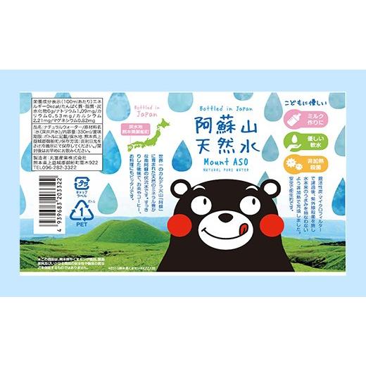 ふるさと納税 水・ミネラルウォーター 熊本県 甲佐町 熊本のおいしいお水 阿蘇山天然水 330ml×48本（2ケース）（共通返礼品・御船町） - 天然水 水 飲料水 ミ…の画像