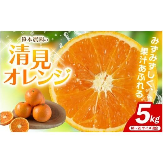 ふるさと納税 みかん・柑橘類 オレンジ 三重県 熊野市 数量限定 笹本農園の清見オレンジ 約5kg M〜2Lサイズ混合 2027年4月上旬頃〜順次発送 みかん ミカン 蜜…