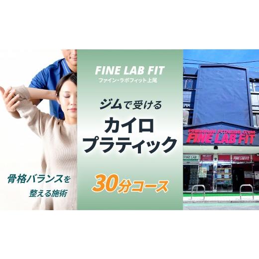 ふるさと納税 体験チケット 埼玉県 上尾市 カイロプラティック施術30分 FINE LAB FIT | カイロプラクティック 骨格 バランス バランス メンテナス ご褒美 リフ…