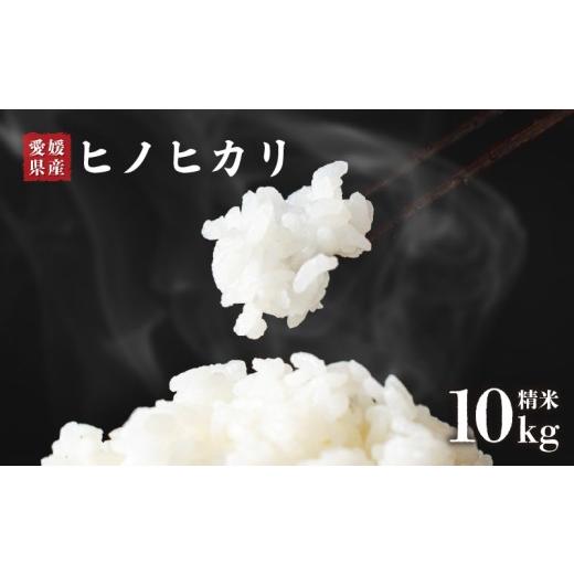 ふるさと納税 米 ヒノヒカリ 愛媛県 松前町 米 ヒノヒカリ 精米 10kg 未検査米 先行予約 2026年10月下旬から順次発送米 | 国内産 ひのひかり ヒノヒカリ 未検…